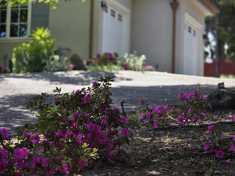 Detail Gallery Image 27 of 33 For 555 Darrell Rd, Hillsborough,  CA 94010 - 4 Beds | 2/1 Baths