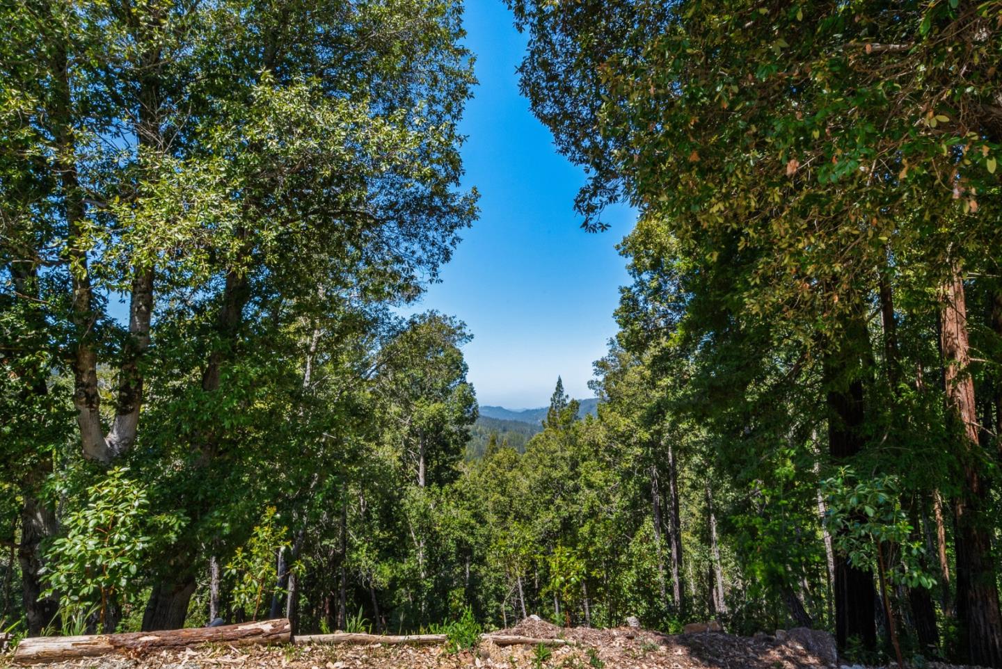Detail Gallery Image 39 of 55 For 620 Ormsby Cutoff, Corralitos,  CA 95076 - 3 Beds | 2 Baths