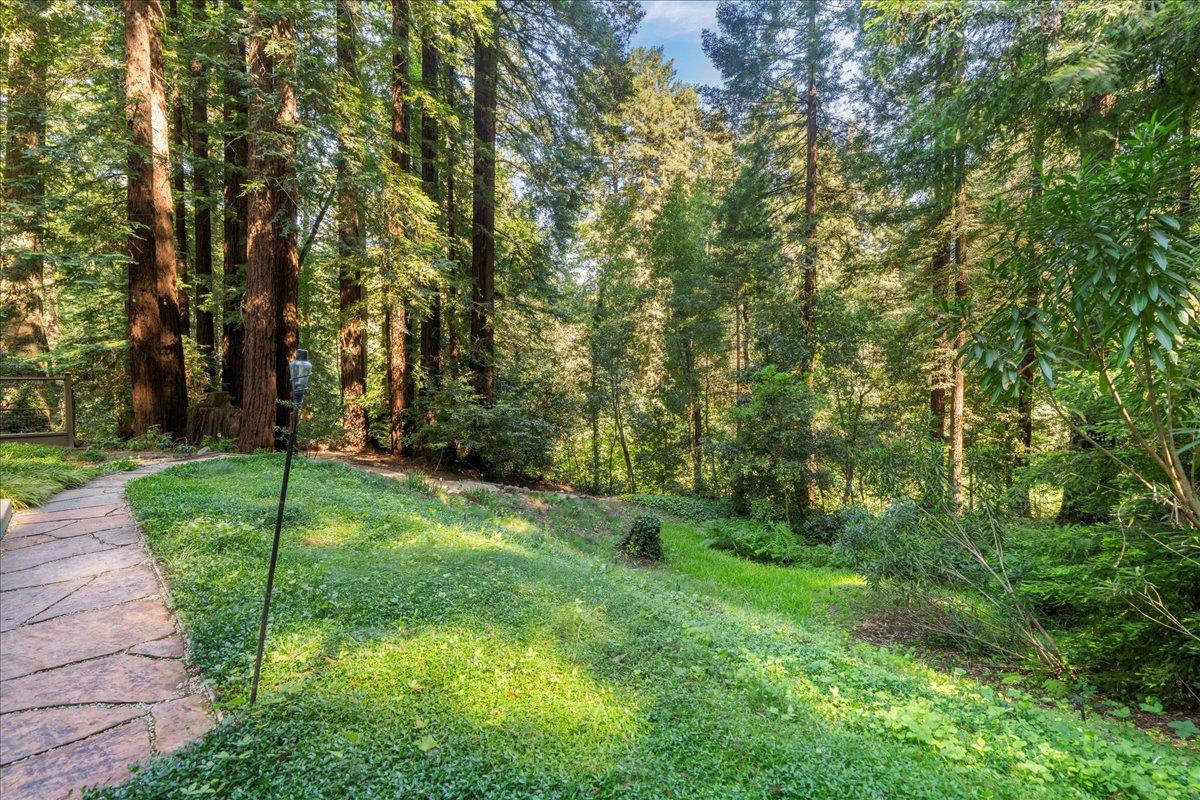 Detail Gallery Image 24 of 37 For 260 River St, Boulder Creek,  CA 95006 - 3 Beds | 3/1 Baths