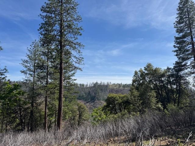 Detail Gallery Image 44 of 55 For 5753 Overland Way, Placerville,  CA 95667 - 3 Beds | 2/1 Baths