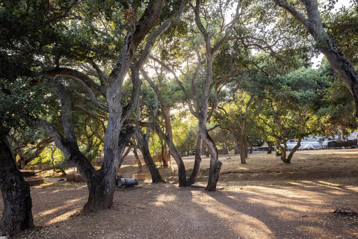 Detail Gallery Image 43 of 46 For 2a La Rancheria, Carmel Valley,  CA 93924 - 3 Beds | 3/1 Baths