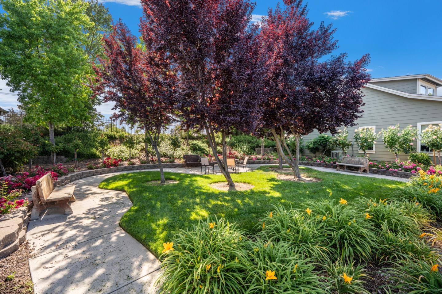 Detail Gallery Image 6 of 26 For 1501 Bianca Way, Gilroy,  CA 95020 - 1 Beds | 1 Baths