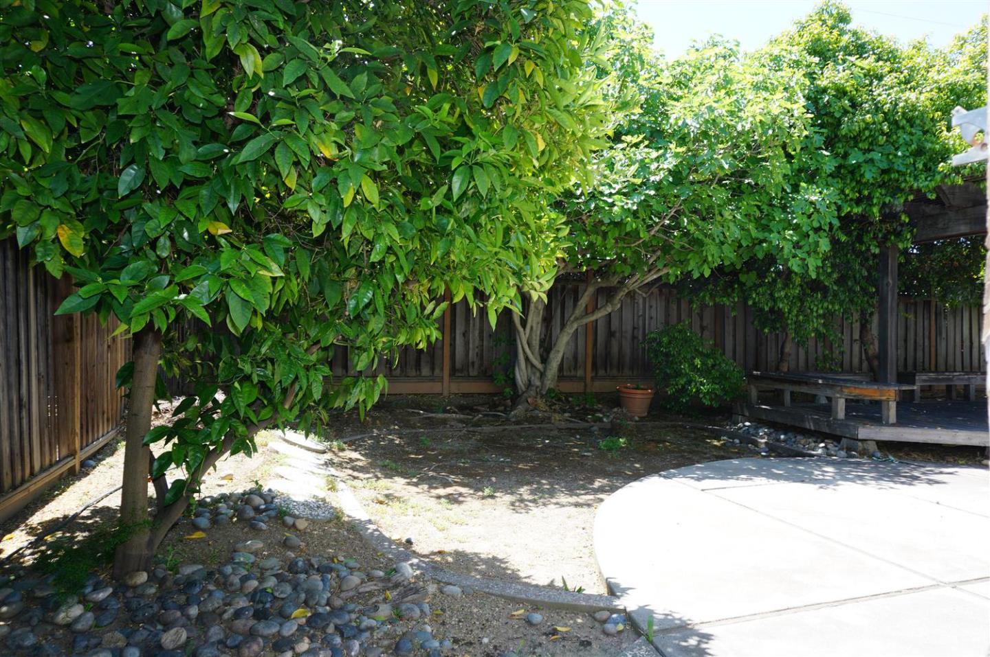 Detail Gallery Image 21 of 28 For 1648 Knollwood Ave, San Jose,  CA 95125 - 5 Beds | 3 Baths