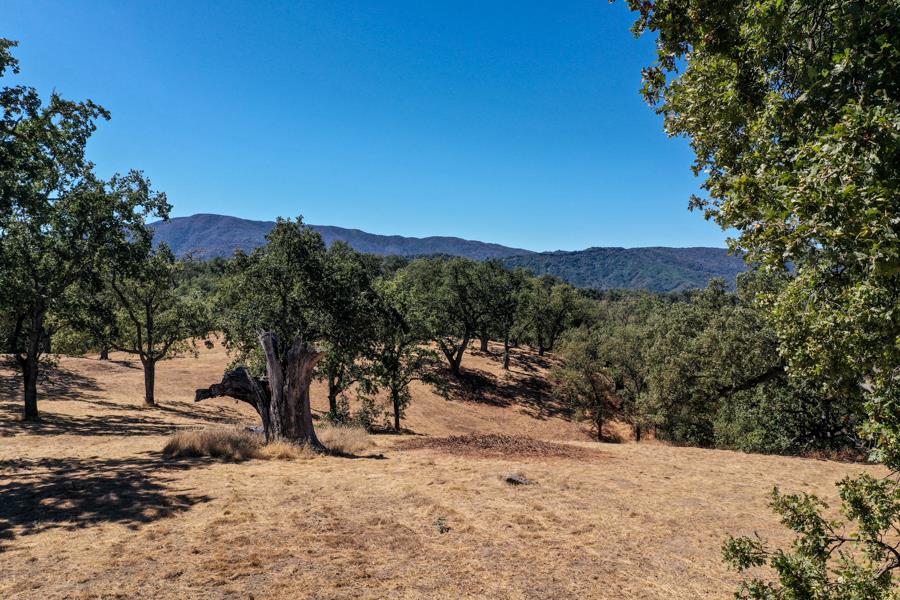 Detail Gallery Image 10 of 12 For 21 Long Ridge Trl, Carmel,  CA 93923 - – Beds | – Baths