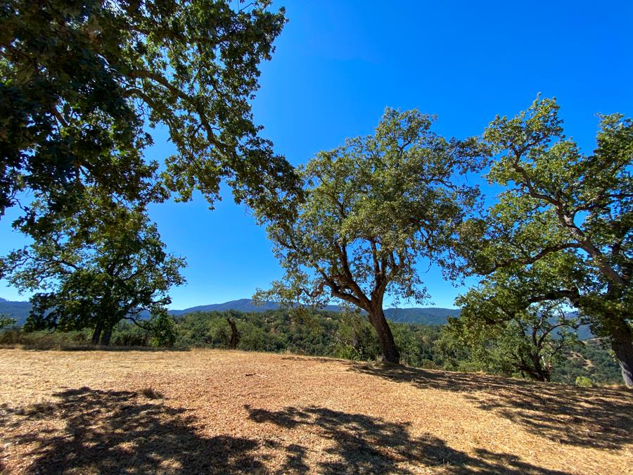 Detail Gallery Image 11 of 12 For 21 Long Ridge Trl, Carmel,  CA 93923 - – Beds | – Baths