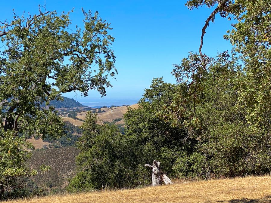 Detail Gallery Image 12 of 12 For 21 Long Ridge Trl, Carmel,  CA 93923 - – Beds | – Baths