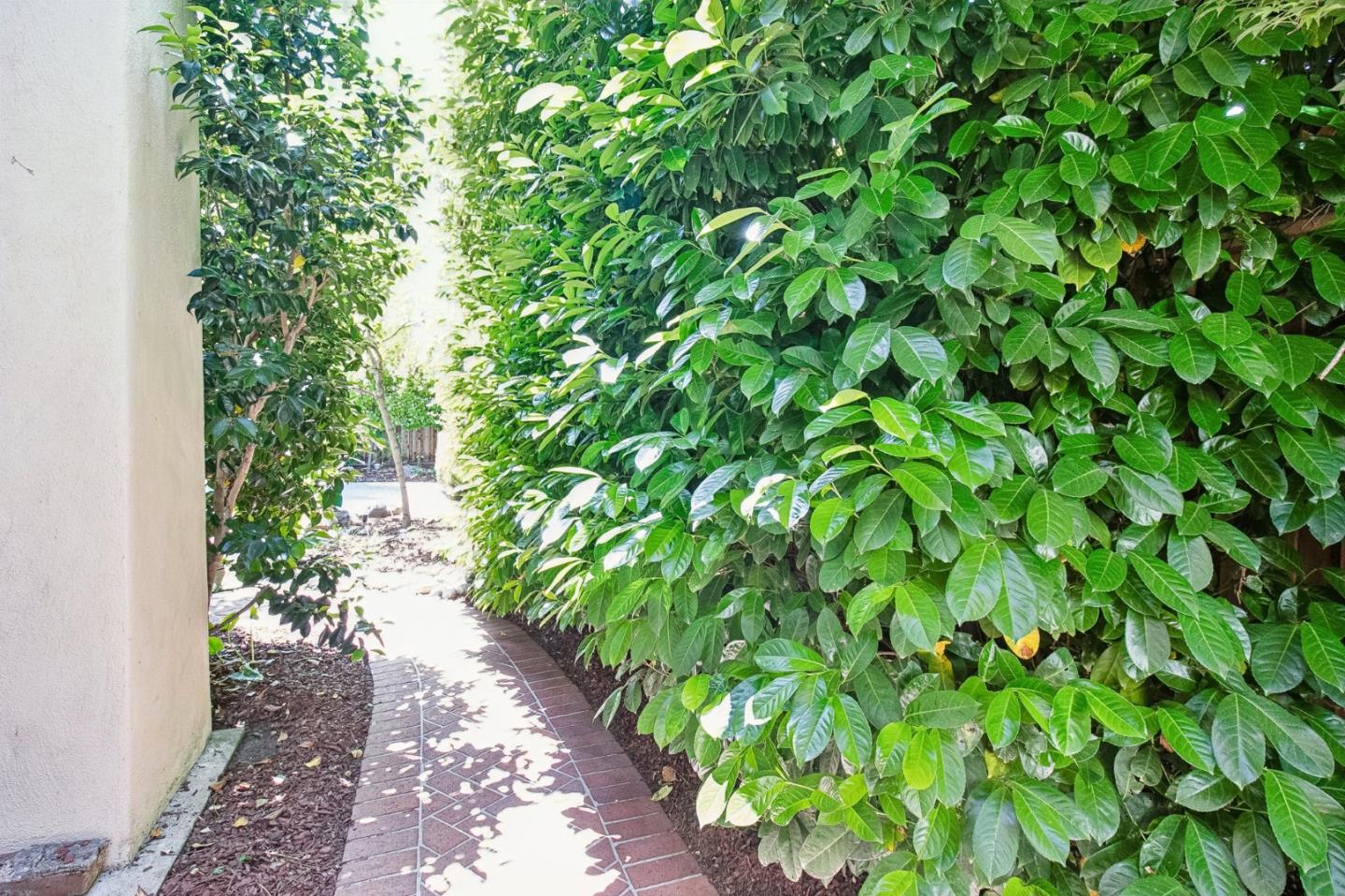 Detail Gallery Image 67 of 92 For 1716 Fulton St, Palo Alto,  CA 94303 - 4 Beds | 3/1 Baths