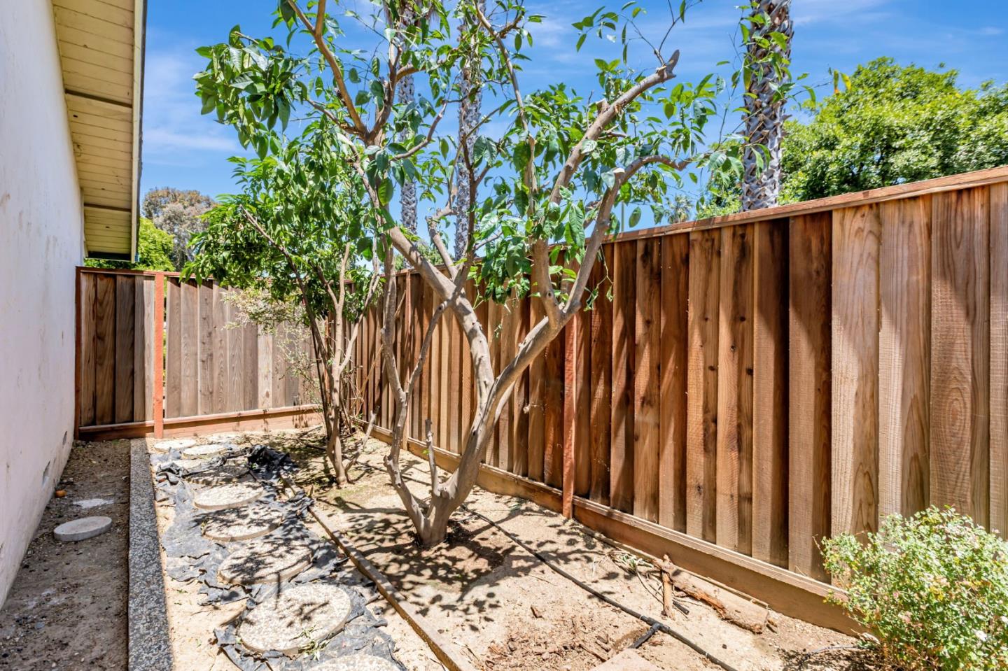 Detail Gallery Image 43 of 47 For 3308 Valley Forge Way, San Jose,  CA 95117 - 3 Beds | 2 Baths