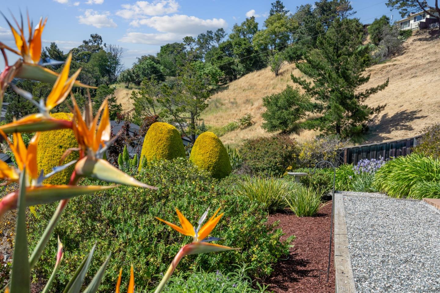 Detail Gallery Image 21 of 70 For 1243 Homewood Ave, San Mateo,  CA 94403 - 3 Beds | 2 Baths