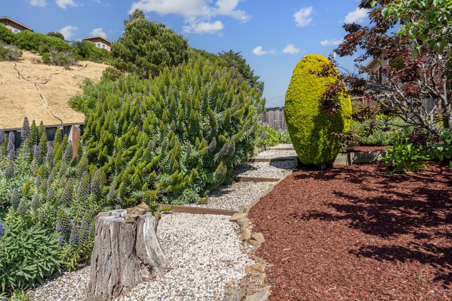 Detail Gallery Image 22 of 70 For 1243 Homewood Ave, San Mateo,  CA 94403 - 3 Beds | 2 Baths