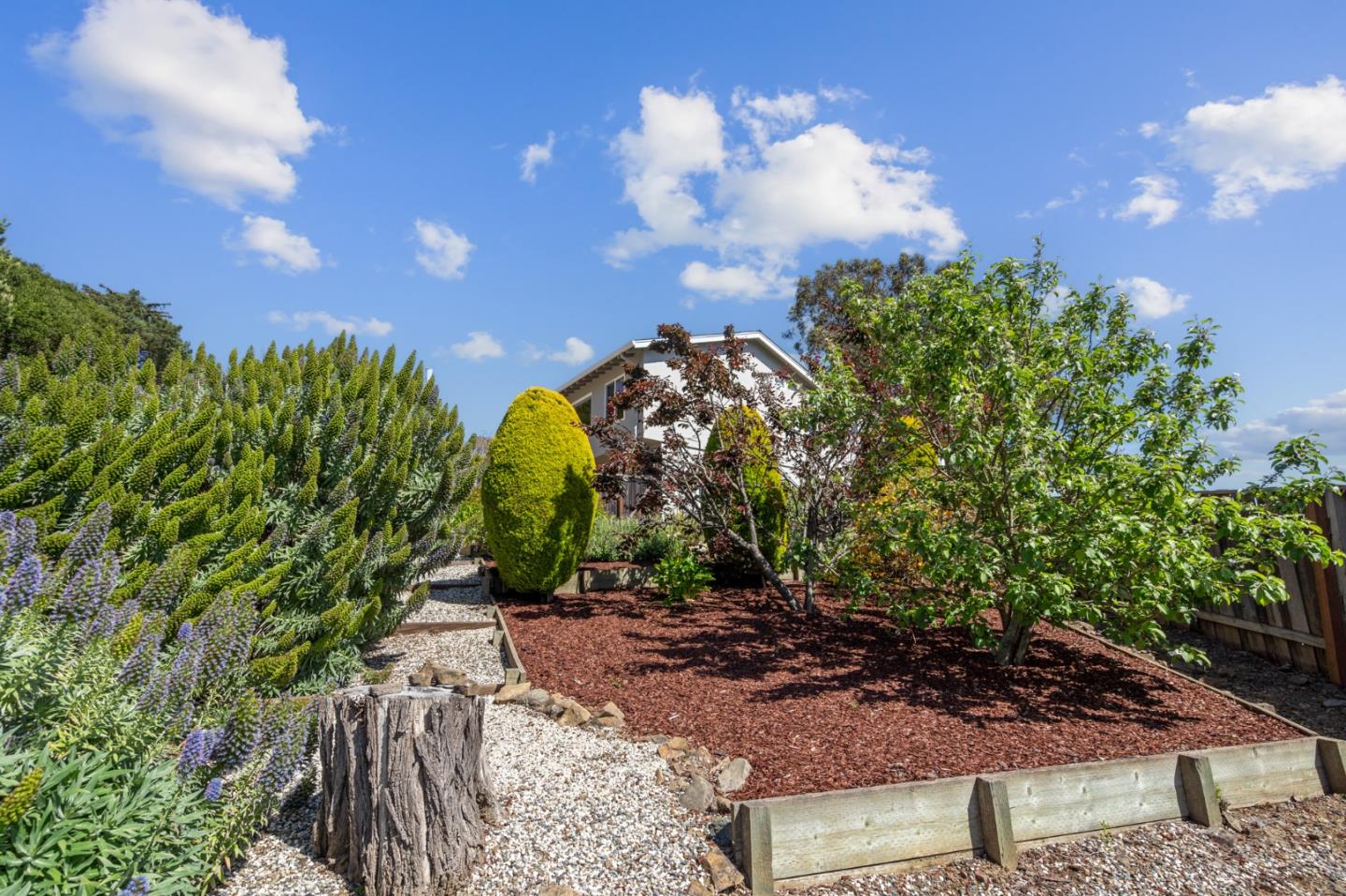 Detail Gallery Image 23 of 70 For 1243 Homewood Ave, San Mateo,  CA 94403 - 3 Beds | 2 Baths
