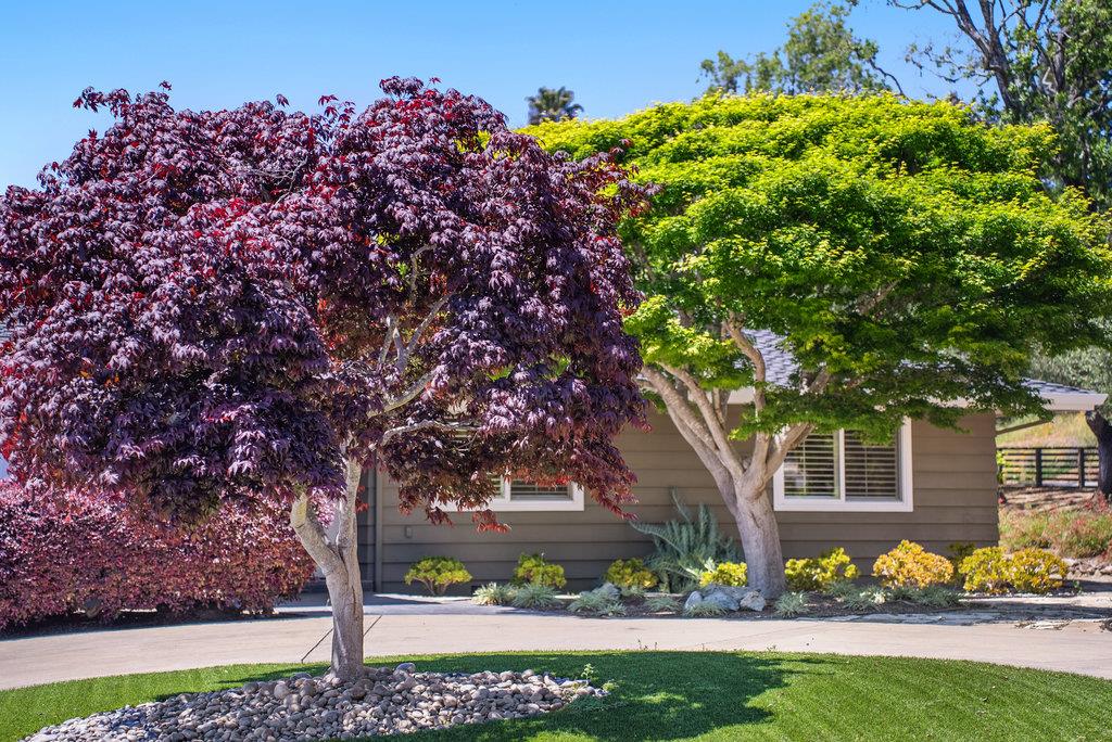 Detail Gallery Image 2 of 34 For 290 Saint Andrews Dr, Aptos,  CA 95003 - 4 Beds | 3 Baths