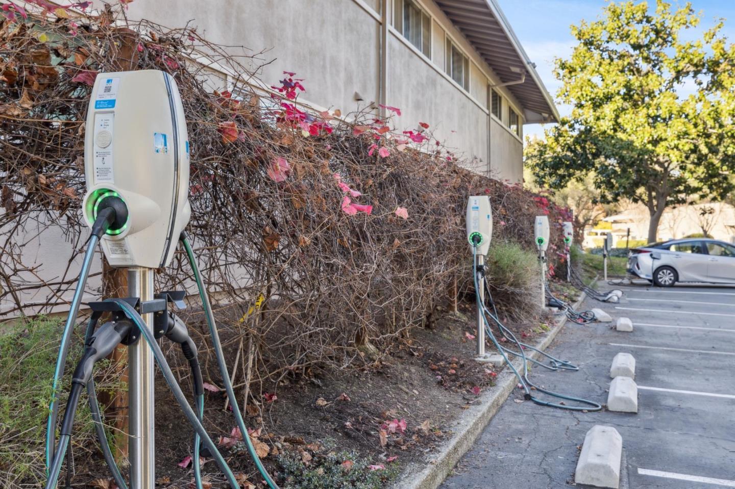Detail Gallery Image 39 of 41 For 500 W Middlefield Rd #164,  Mountain View,  CA 94043 - 1 Beds | 1 Baths