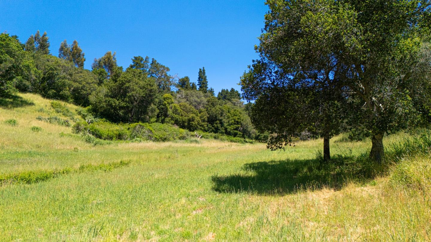 Detail Gallery Image 12 of 30 For 3554 Paul Sweet Rd, Santa Cruz,  CA 95065 - 2 Beds | 1 Baths