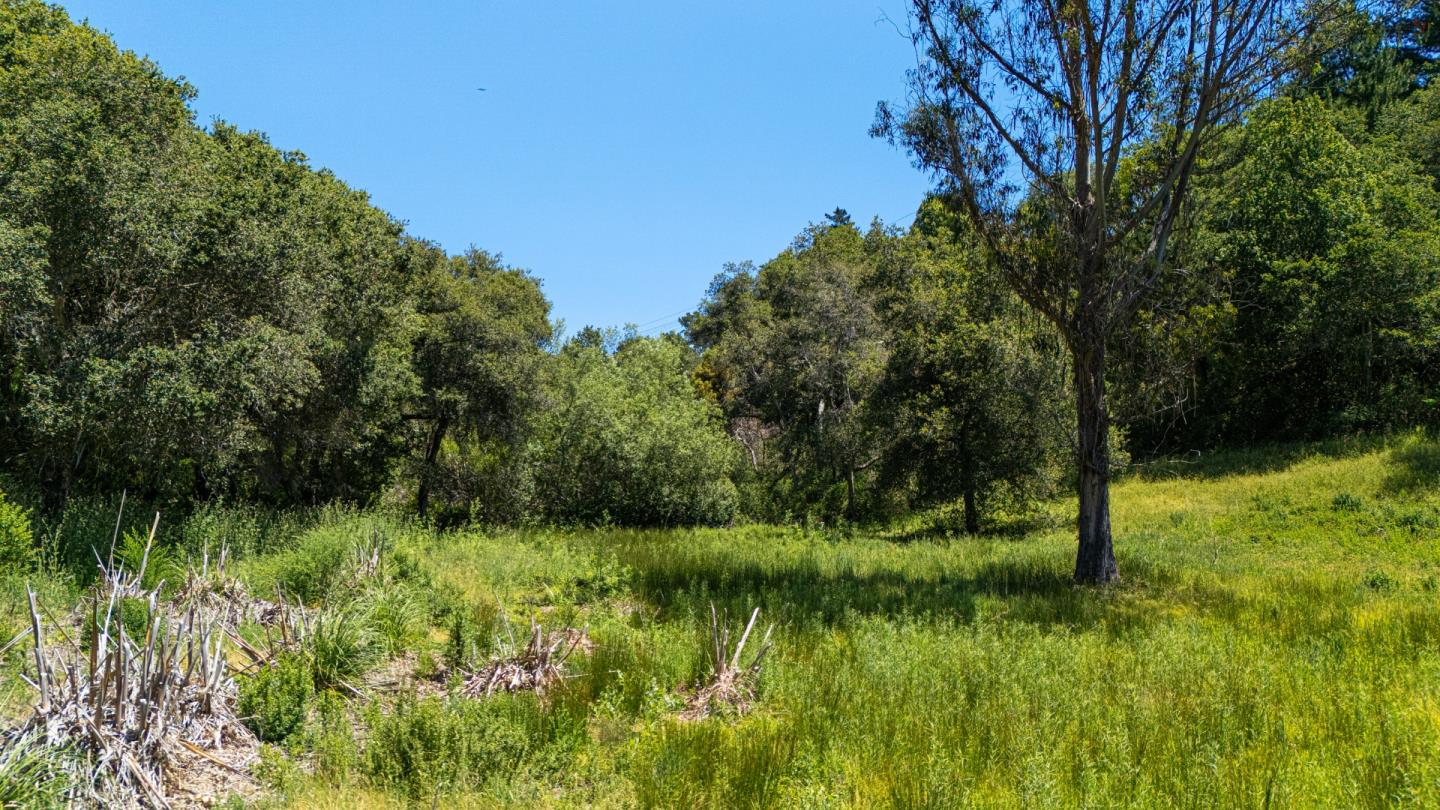 Detail Gallery Image 14 of 30 For 3554 Paul Sweet Rd, Santa Cruz,  CA 95065 - 2 Beds | 1 Baths