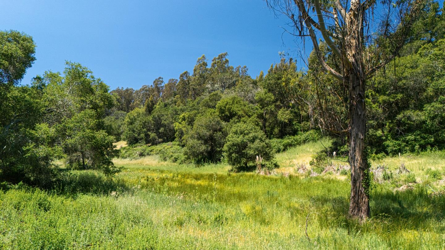 Detail Gallery Image 15 of 30 For 3554 Paul Sweet Rd, Santa Cruz,  CA 95065 - 2 Beds | 1 Baths