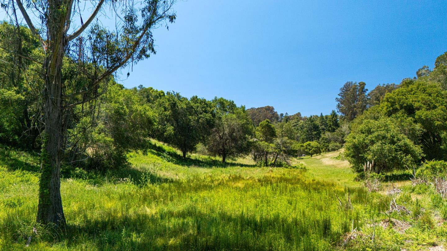 Detail Gallery Image 16 of 30 For 3554 Paul Sweet Rd, Santa Cruz,  CA 95065 - 2 Beds | 1 Baths
