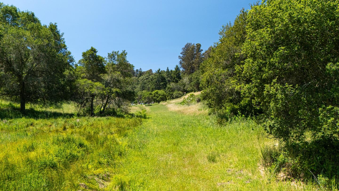 Detail Gallery Image 17 of 30 For 3554 Paul Sweet Rd, Santa Cruz,  CA 95065 - 2 Beds | 1 Baths