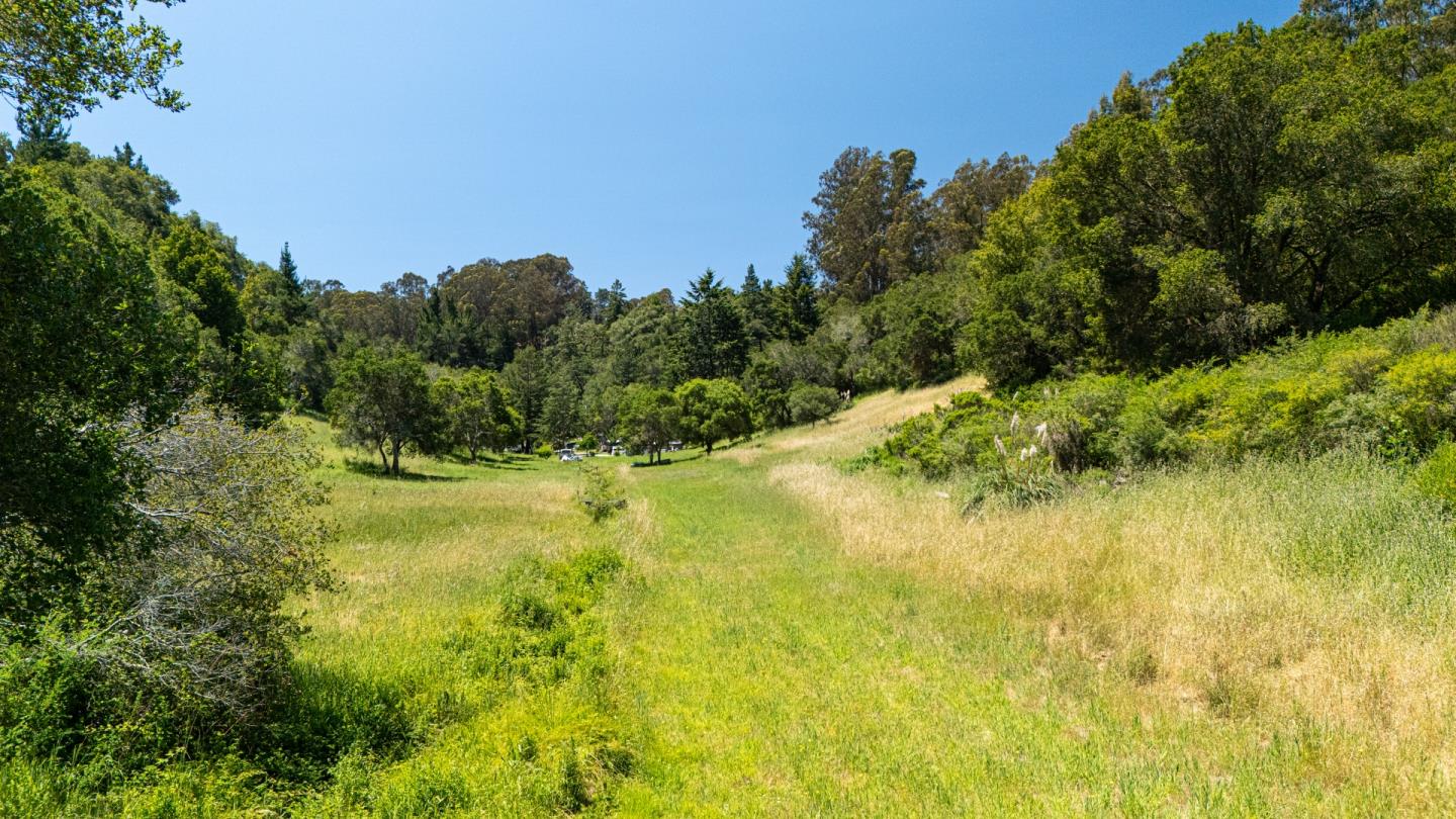 Detail Gallery Image 18 of 30 For 3554 Paul Sweet Rd, Santa Cruz,  CA 95065 - 2 Beds | 1 Baths