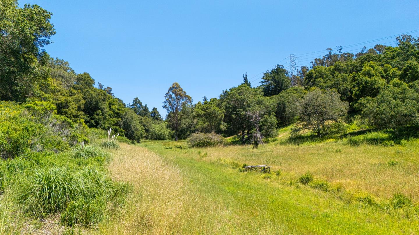 Detail Gallery Image 3 of 30 For 3554 Paul Sweet Rd, Santa Cruz,  CA 95065 - 2 Beds | 1 Baths