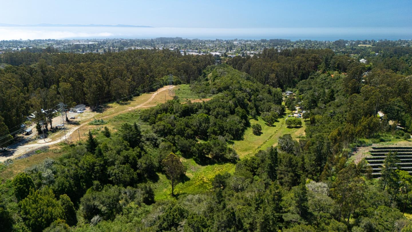 Detail Gallery Image 6 of 30 For 3554 Paul Sweet Rd, Santa Cruz,  CA 95065 - 2 Beds | 1 Baths