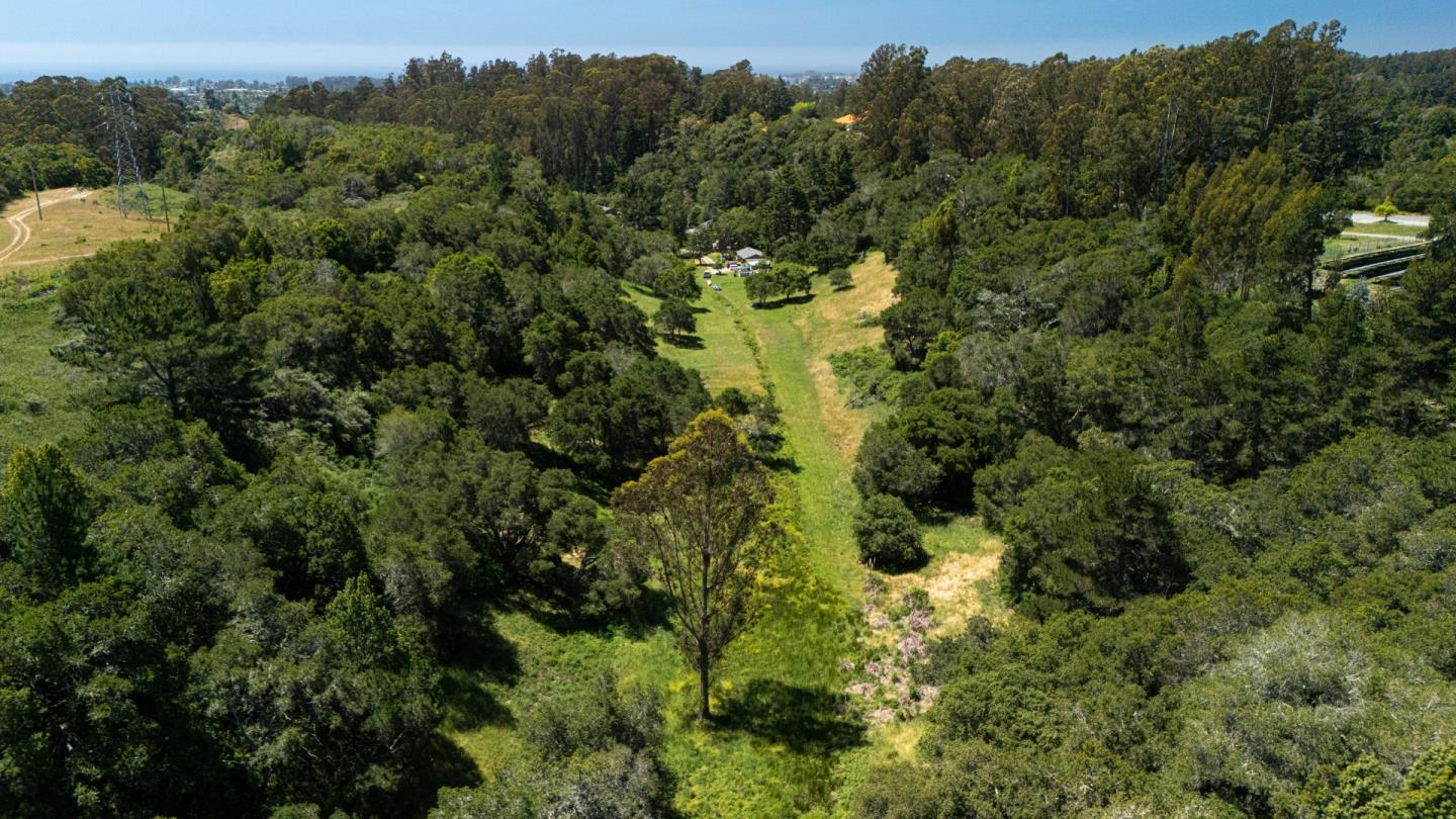 Detail Gallery Image 7 of 30 For 3554 Paul Sweet Rd, Santa Cruz,  CA 95065 - 2 Beds | 1 Baths