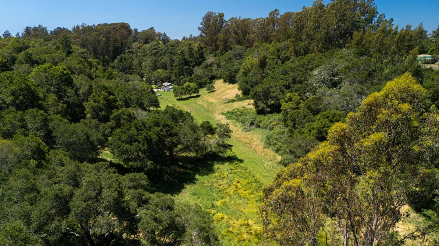 Detail Gallery Image 8 of 30 For 3554 Paul Sweet Rd, Santa Cruz,  CA 95065 - 2 Beds | 1 Baths