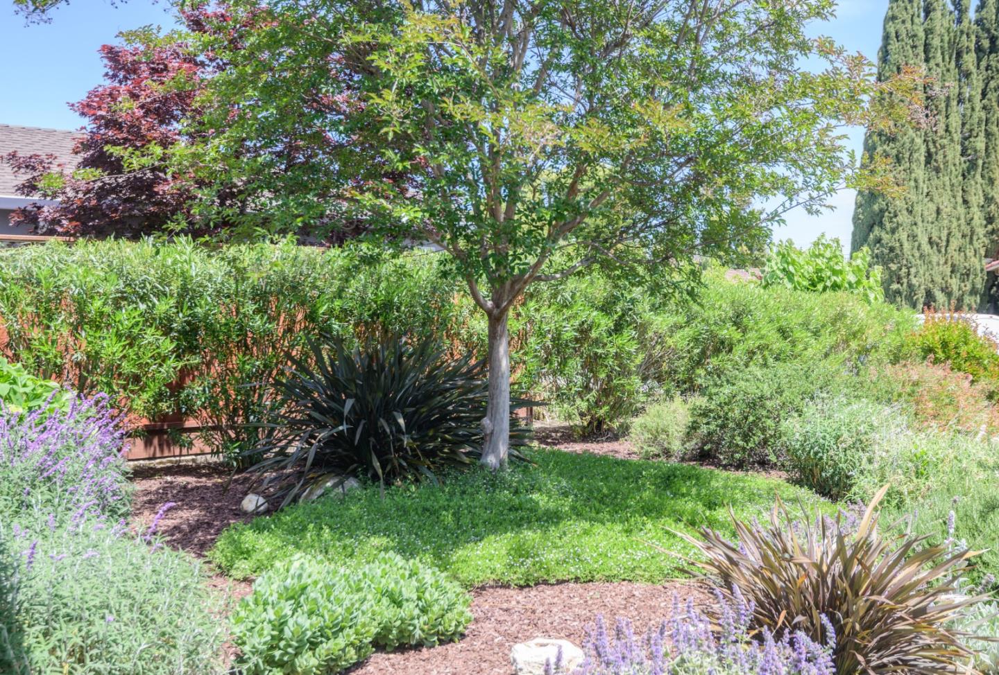 Detail Gallery Image 27 of 28 For 134 Gilbert Ave, Santa Clara,  CA 95051 - 5 Beds | 3 Baths