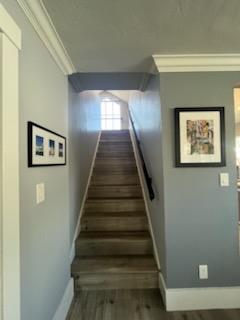 Detail Gallery Image 30 of 48 For 1437 4th St, Calistoga,  CA 94515 - 3 Beds | 3/1 Baths