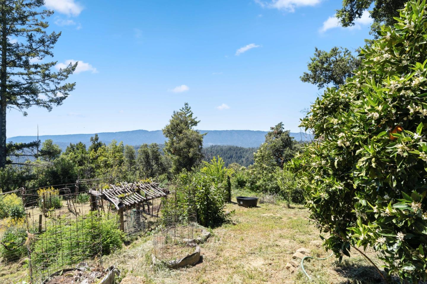 Detail Gallery Image 12 of 79 For 1495 Dons Rd, Boulder Creek,  CA 95006 - 3 Beds | 2 Baths