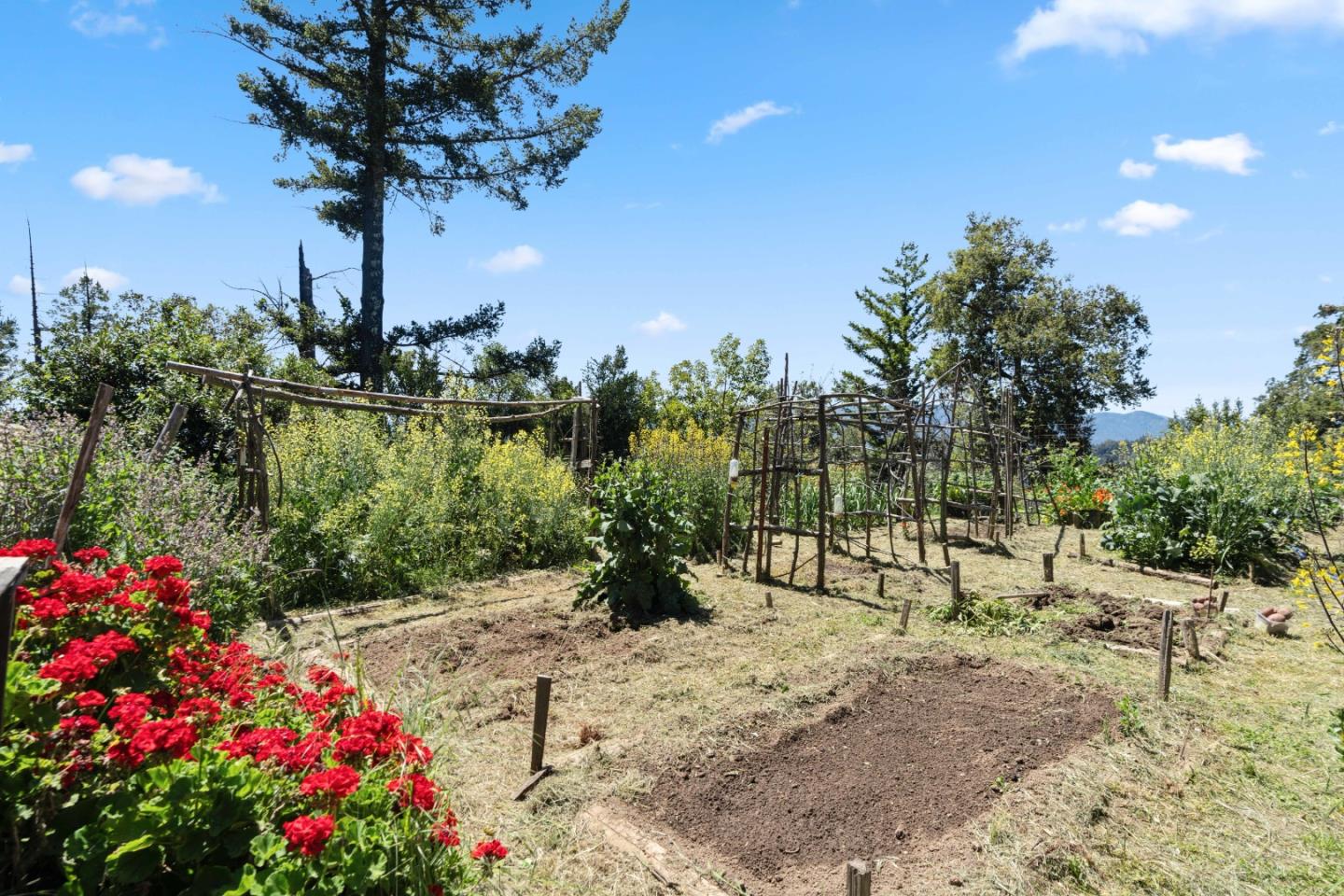 Detail Gallery Image 13 of 79 For 1495 Dons Rd, Boulder Creek,  CA 95006 - 3 Beds | 2 Baths