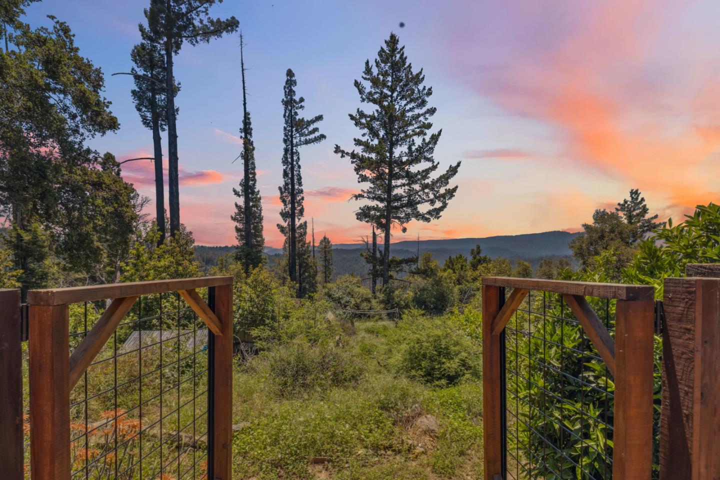Detail Gallery Image 64 of 79 For 1495 Dons Rd, Boulder Creek,  CA 95006 - 3 Beds | 2 Baths