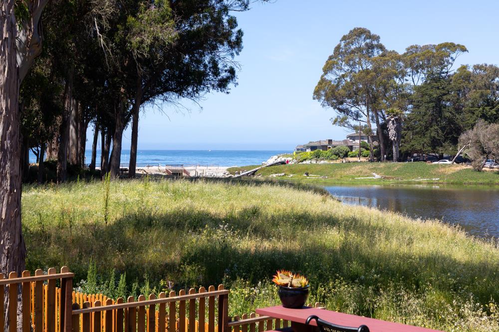Detail Gallery Image 54 of 67 For 143 Moran Way, Santa Cruz,  CA 95062 - 3 Beds | 2 Baths