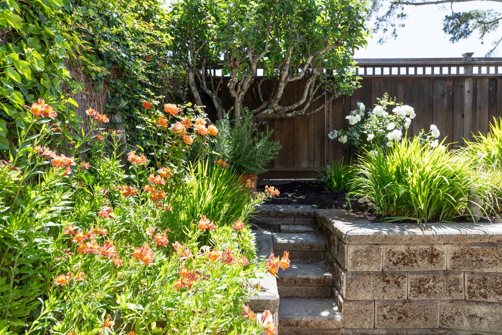 Detail Gallery Image 6 of 67 For 143 Moran Way, Santa Cruz,  CA 95062 - 3 Beds | 2 Baths