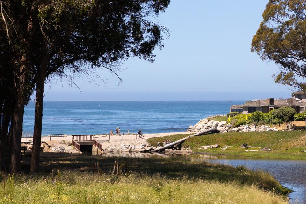 Detail Gallery Image 9 of 67 For 143 Moran Way, Santa Cruz,  CA 95062 - 3 Beds | 2 Baths