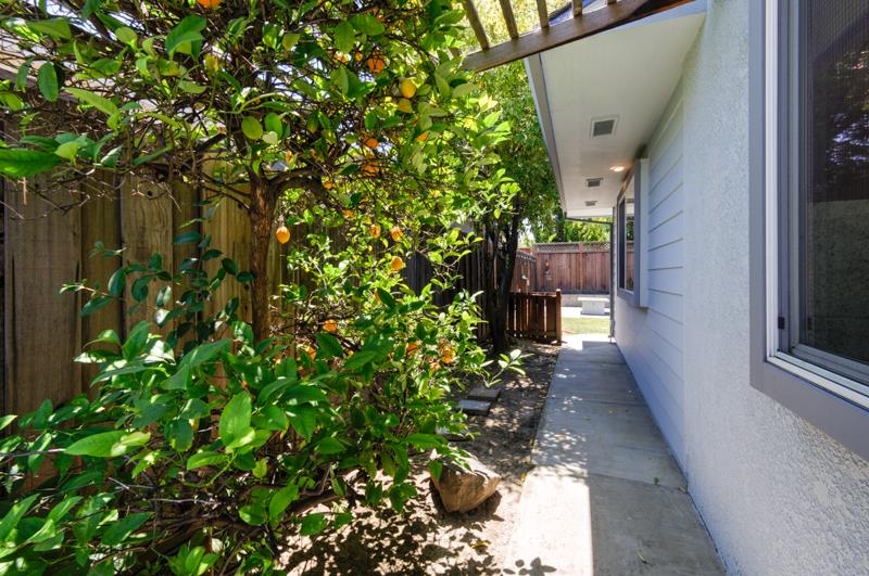 Detail Gallery Image 61 of 86 For 970 W Hedegard Ave, Campbell,  CA 95008 - 4 Beds | 3/1 Baths