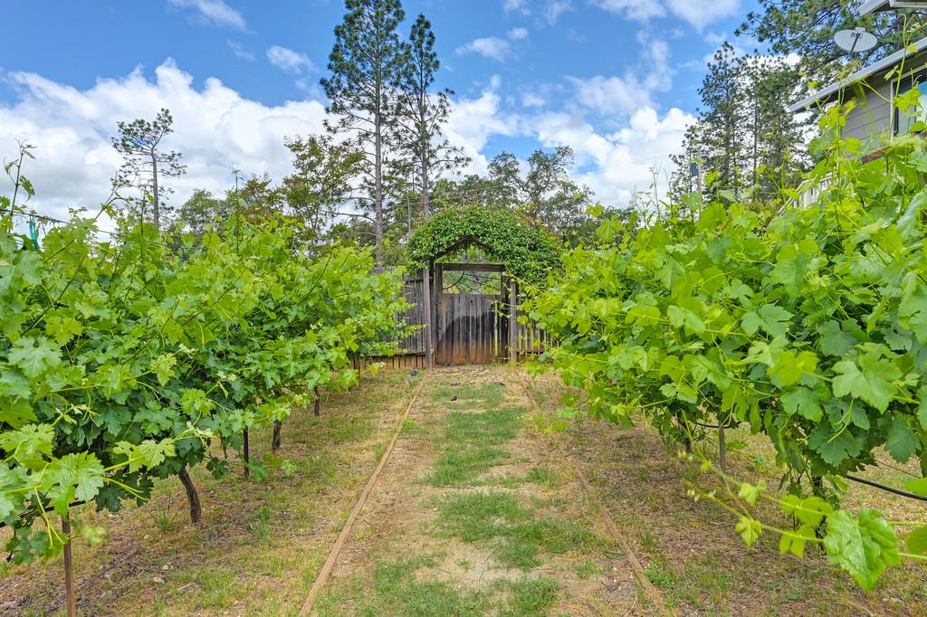 Detail Gallery Image 62 of 80 For 2640 Gayle Ln, Auburn,  CA 95602 - 3 Beds | 2/1 Baths
