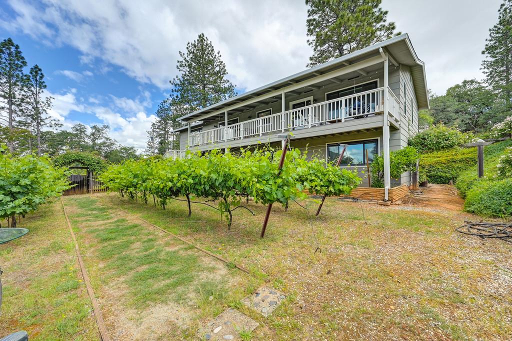 Detail Gallery Image 64 of 80 For 2640 Gayle Ln, Auburn,  CA 95602 - 3 Beds | 2/1 Baths