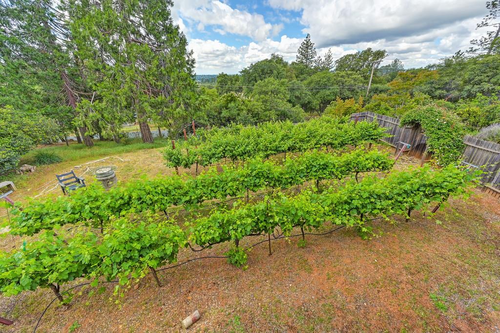Detail Gallery Image 66 of 80 For 2640 Gayle Ln, Auburn,  CA 95602 - 3 Beds | 2/1 Baths