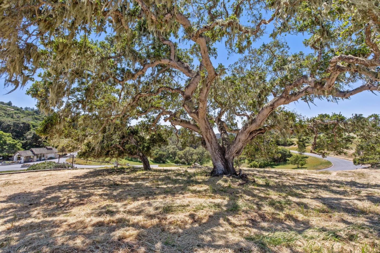Detail Gallery Image 8 of 16 For 7905 Cinquenta Rd, Carmel,  CA 93923 - – Beds | – Baths