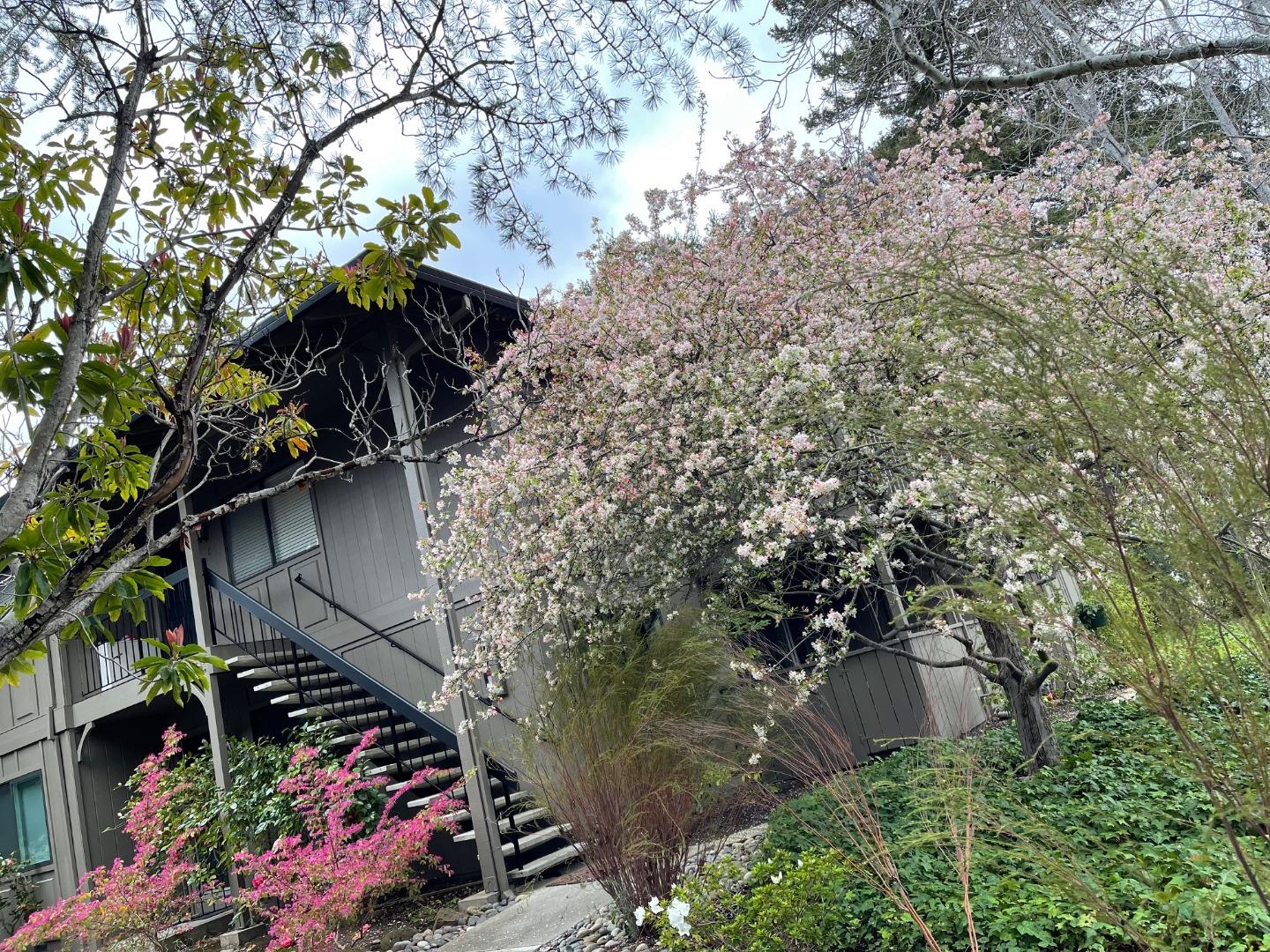 Detail Gallery Image 47 of 47 For 14660 Big Basin Way #C,  Saratoga,  CA 95070 - 3 Beds | 2 Baths