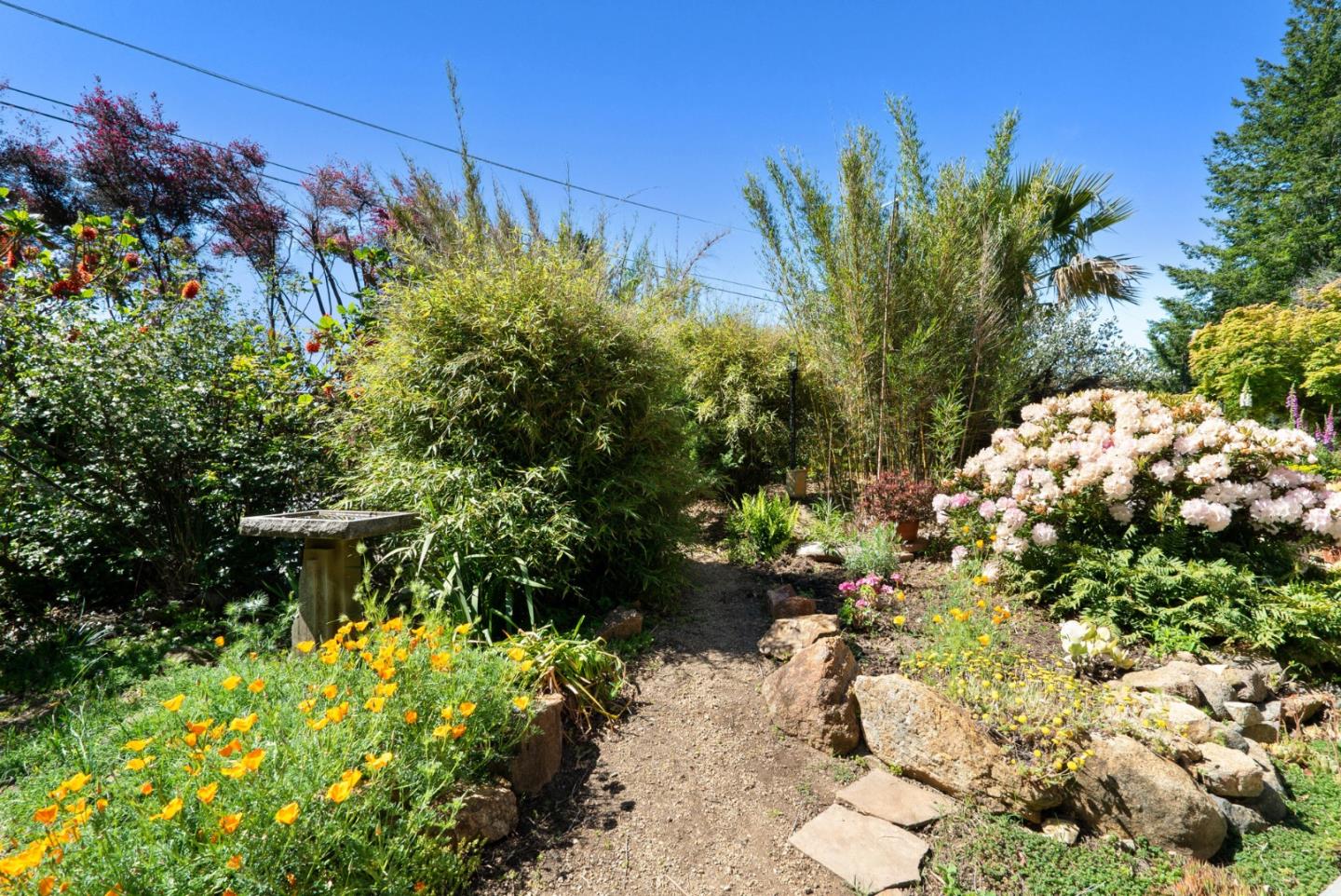 Detail Gallery Image 88 of 91 For 280 Azalea Ln, Santa Cruz,  CA 95060 - 3 Beds | 2/1 Baths