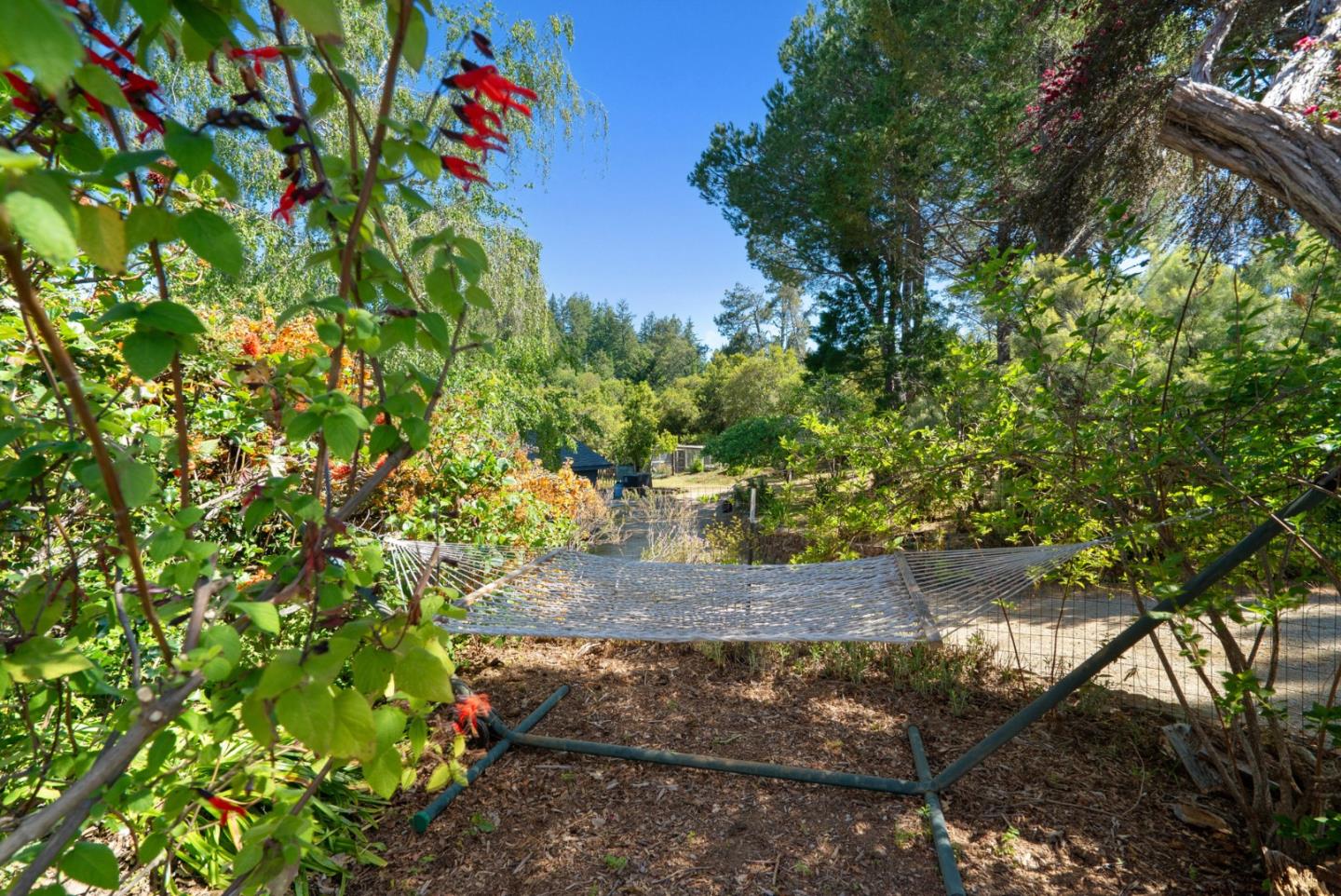 Detail Gallery Image 90 of 91 For 280 Azalea Ln, Santa Cruz,  CA 95060 - 3 Beds | 2/1 Baths