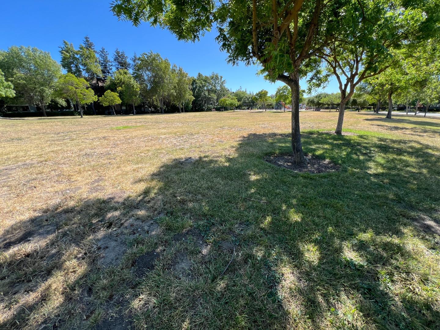 Detail Gallery Image 11 of 17 For 310 Araglin Ct, San Jose,  CA 95136 - 3 Beds | 2/1 Baths
