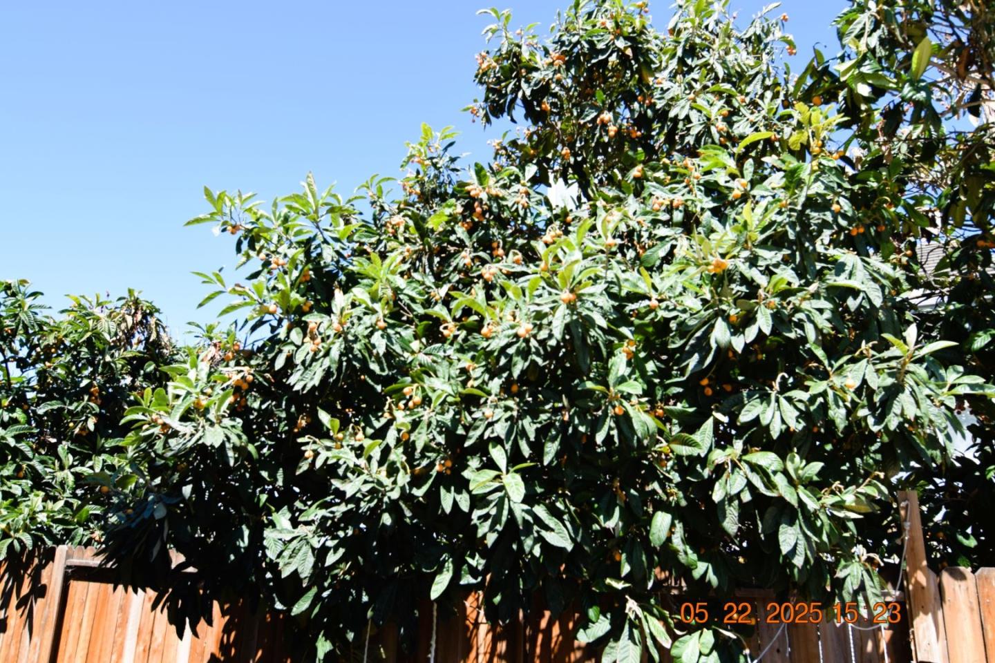 Detail Gallery Image 47 of 50 For 3963 Mead St, Antioch,  CA 94531 - 3 Beds | 2/1 Baths