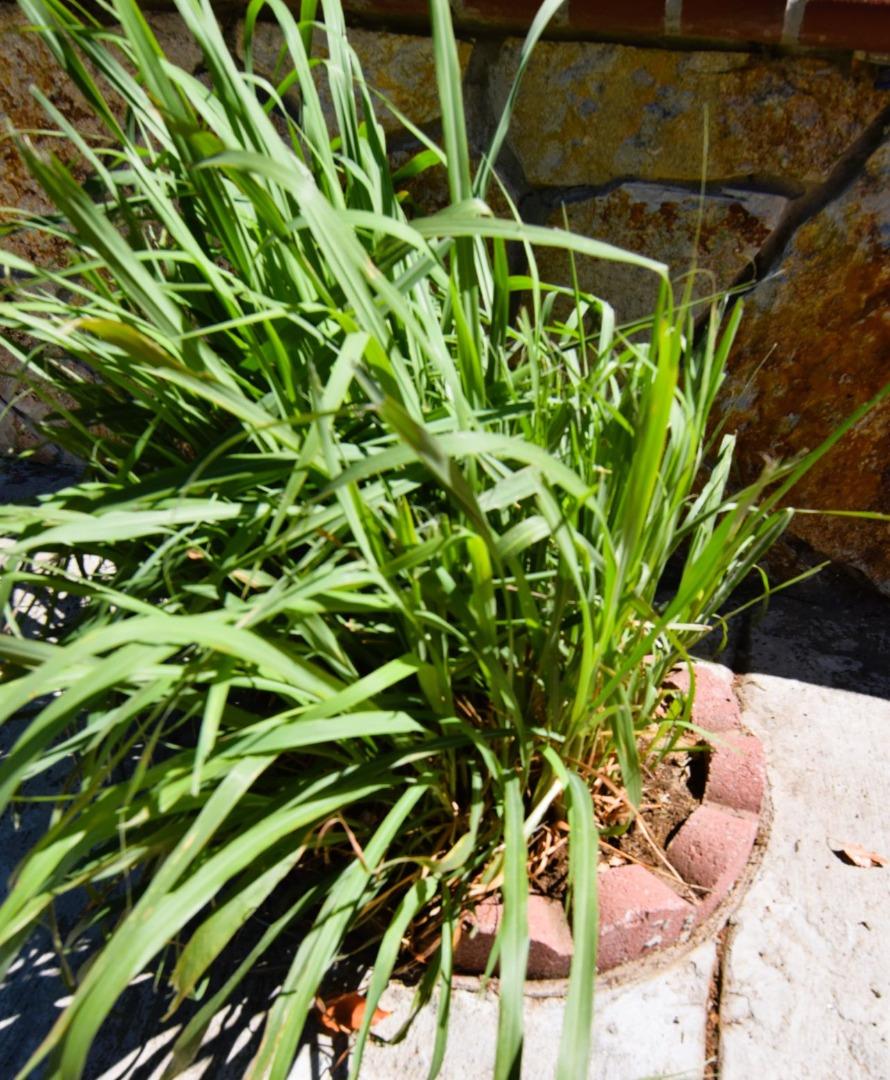 Detail Gallery Image 49 of 50 For 3963 Mead St, Antioch,  CA 94531 - 3 Beds | 2/1 Baths