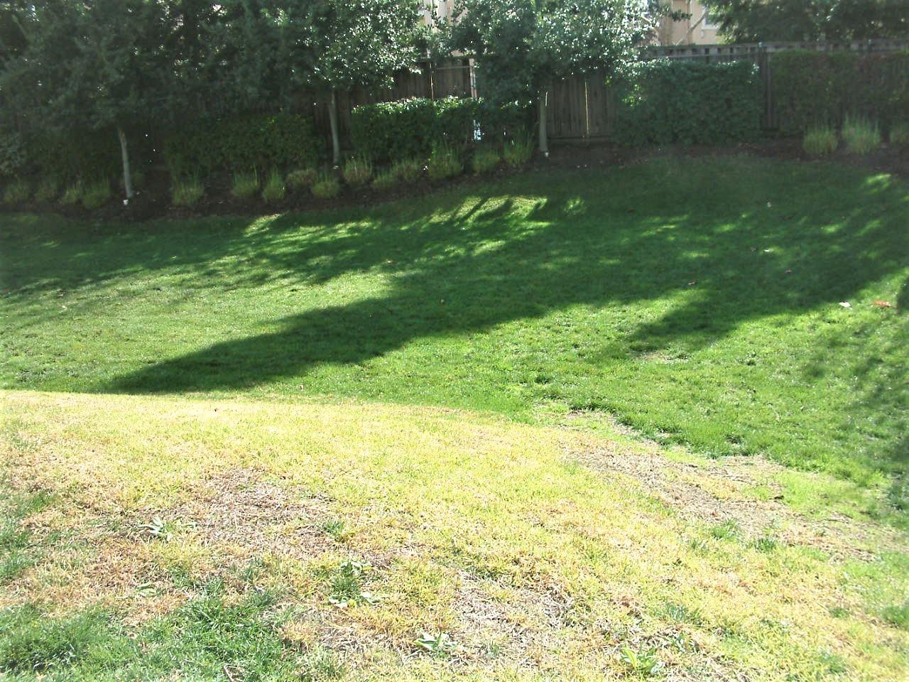 Detail Gallery Image 34 of 37 For 51 Sturla Way, Gilroy,  CA 95020 - 3 Beds | 2/1 Baths