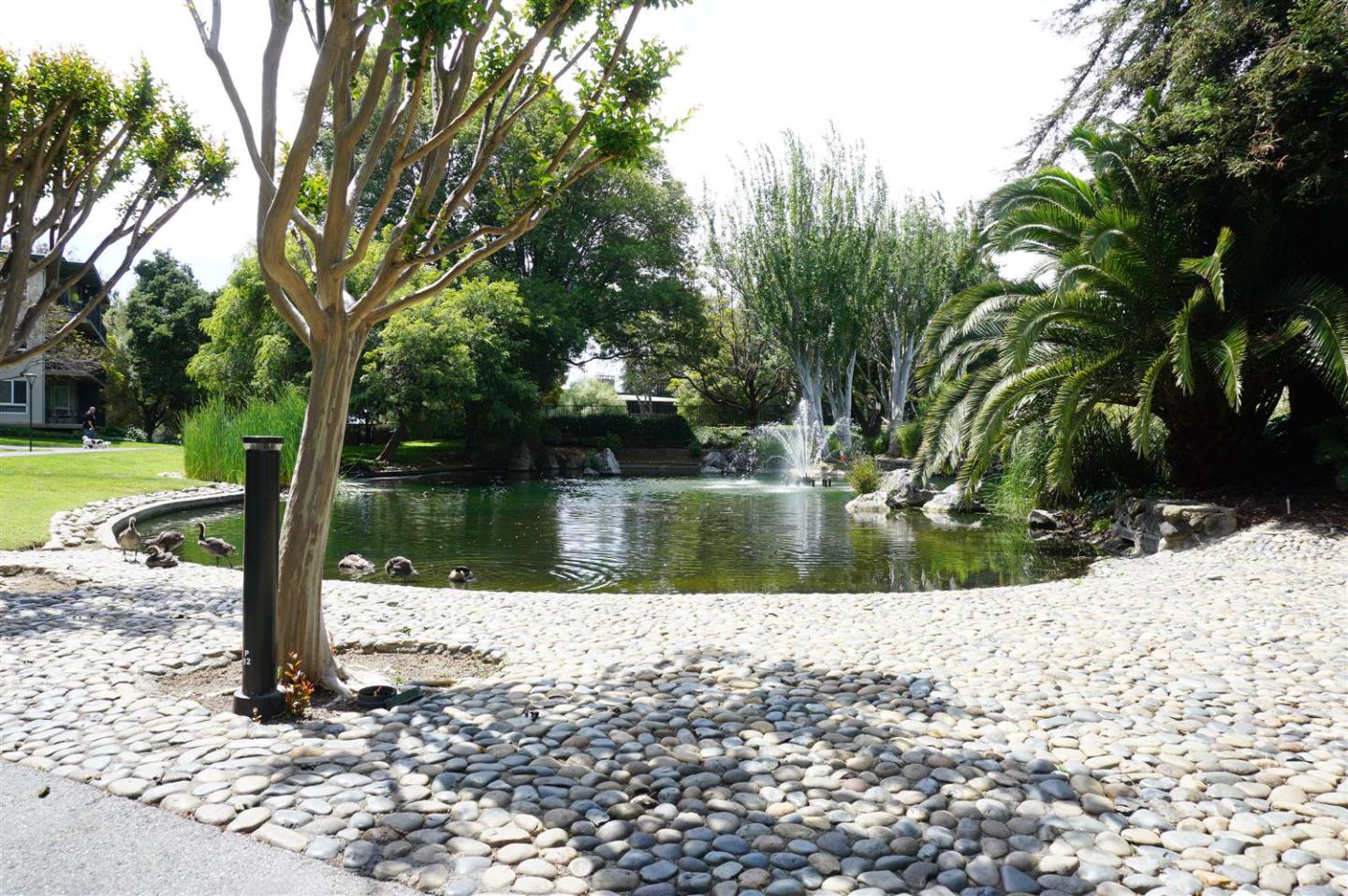 Detail Gallery Image 21 of 27 For 974 Peninsula Ave, San Mateo,  CA 94401 - 3 Beds | 2/1 Baths