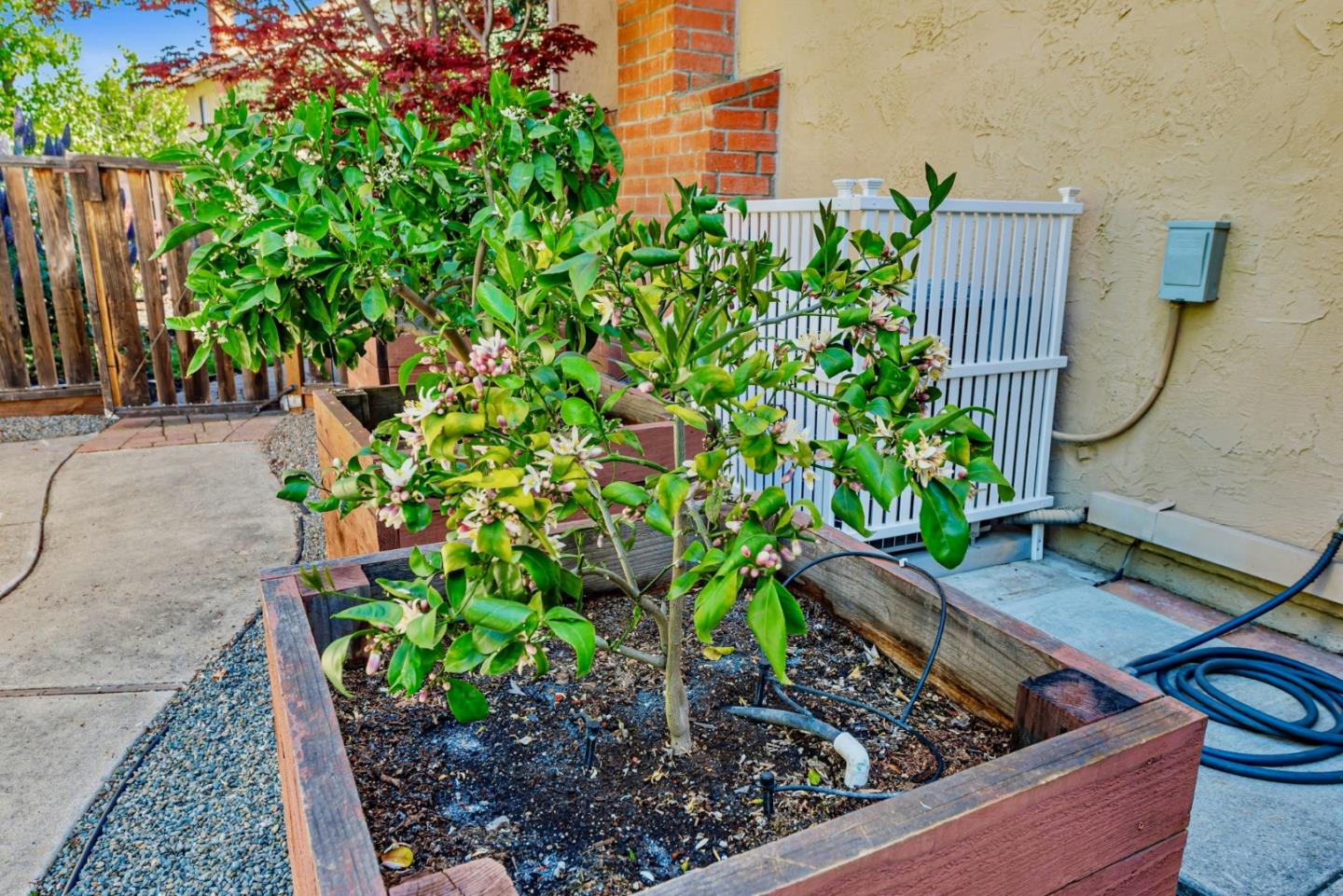 Detail Gallery Image 50 of 99 For 663 Lambeth Ct, Sunnyvale,  CA 94087 - 4 Beds | 3 Baths