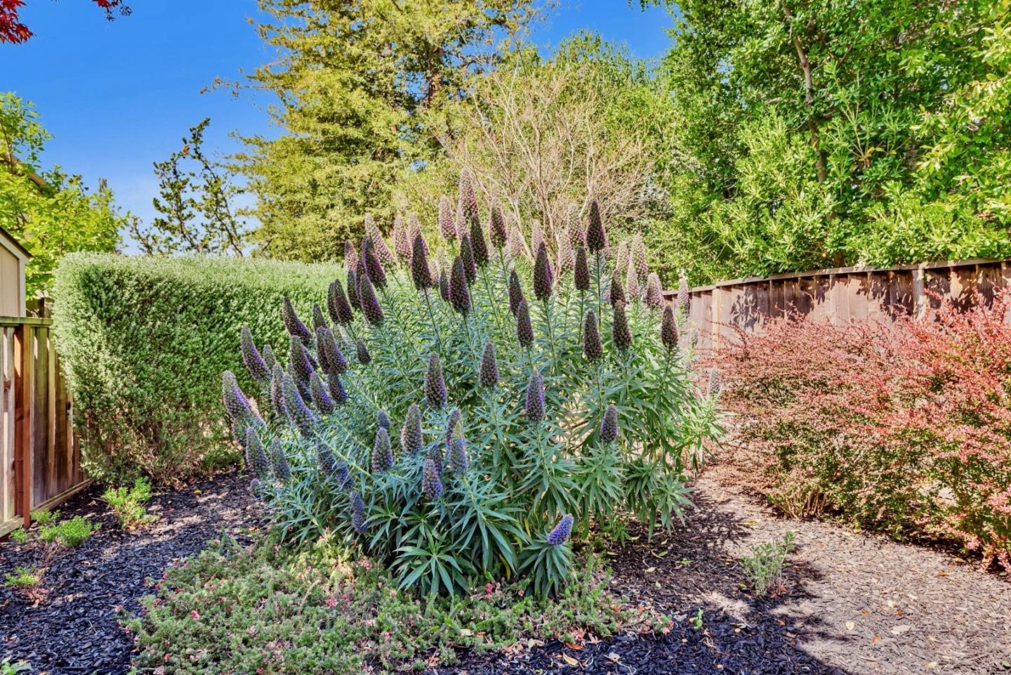 Detail Gallery Image 53 of 99 For 663 Lambeth Ct, Sunnyvale,  CA 94087 - 4 Beds | 3 Baths